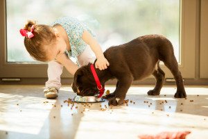 Pets Create Great Responsibilities For Kids